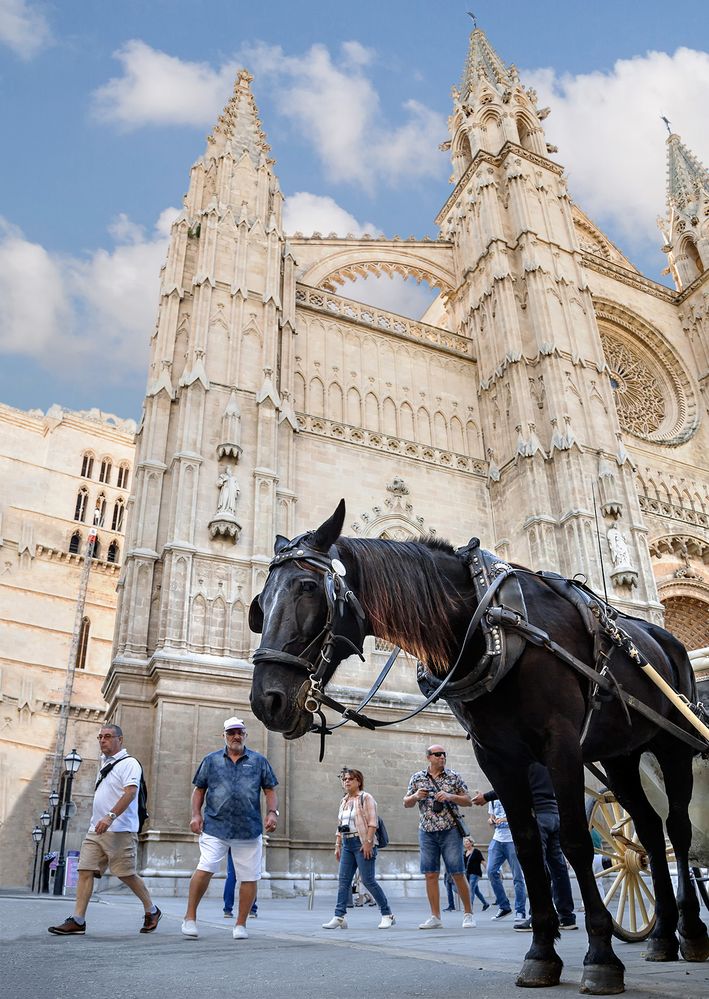 Façade de la Cathédrale de Palma sous un angle particulier