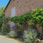 Façade fermée mais bien fleurie, à Fourcès