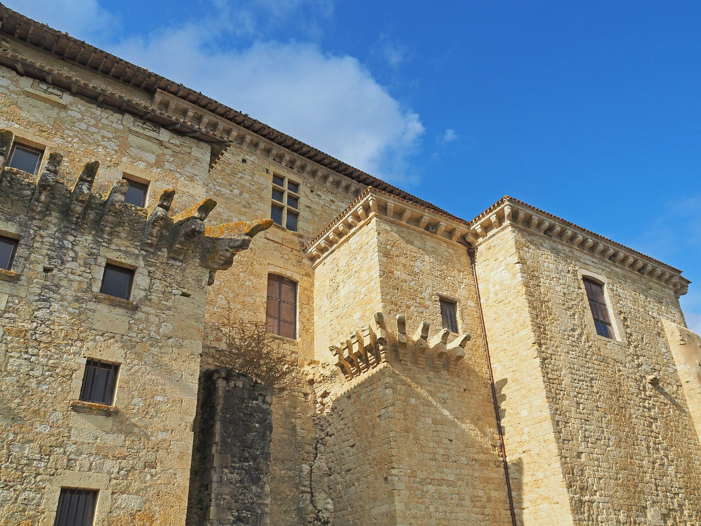 Façade sud du Château de Lavardens