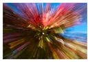 Colour Explosion II von Dominik der Weltenbummler