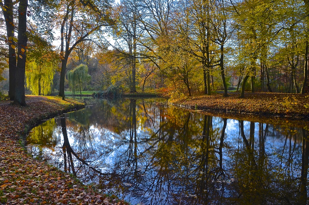 Fabelhaftes Spätnovemberlicht