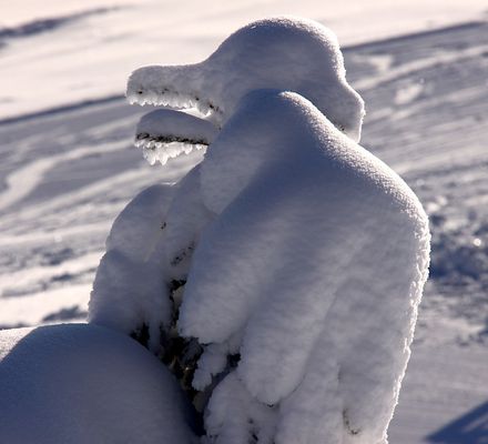 Fabelwesen aus der Winterwelt