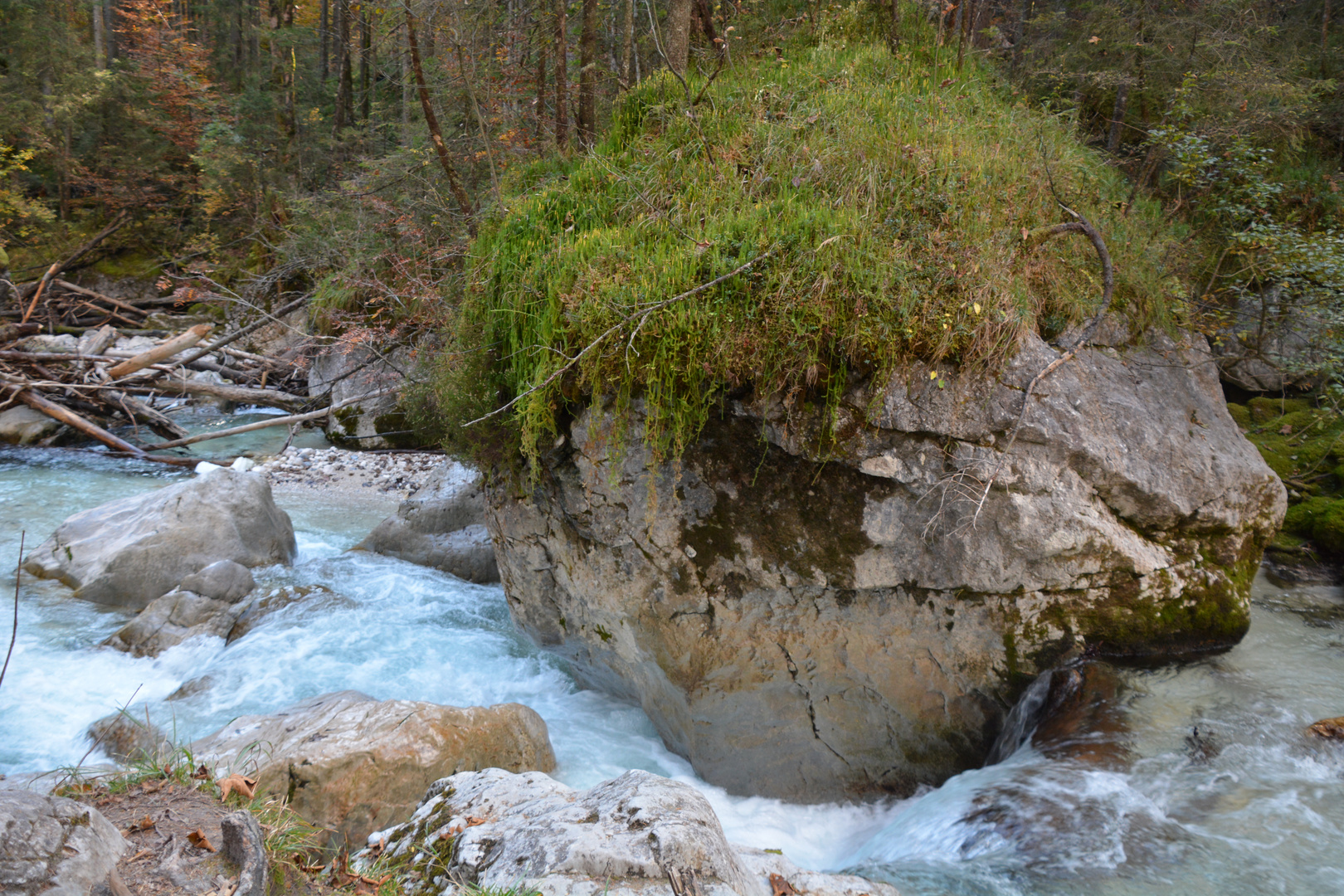 Fabelwesen im Zauberwald