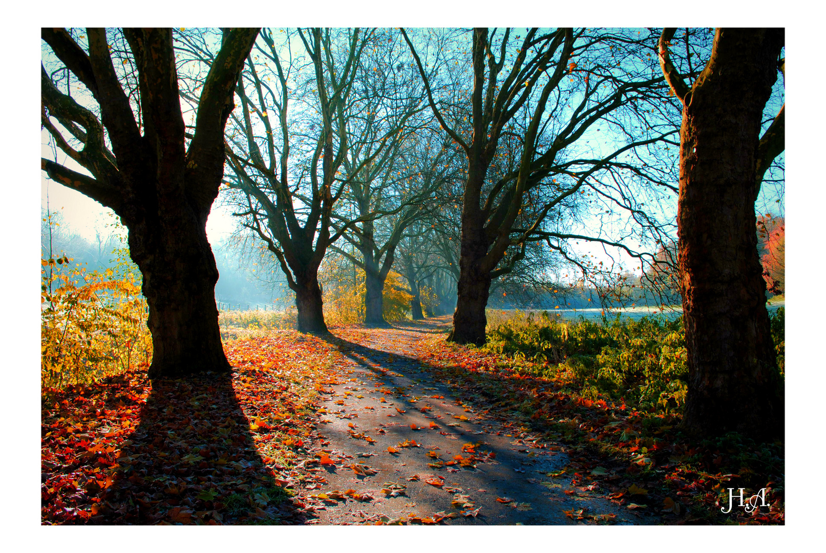 Fabenspiel am frostigen Morgen