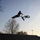 Faber Superman Tailwhip