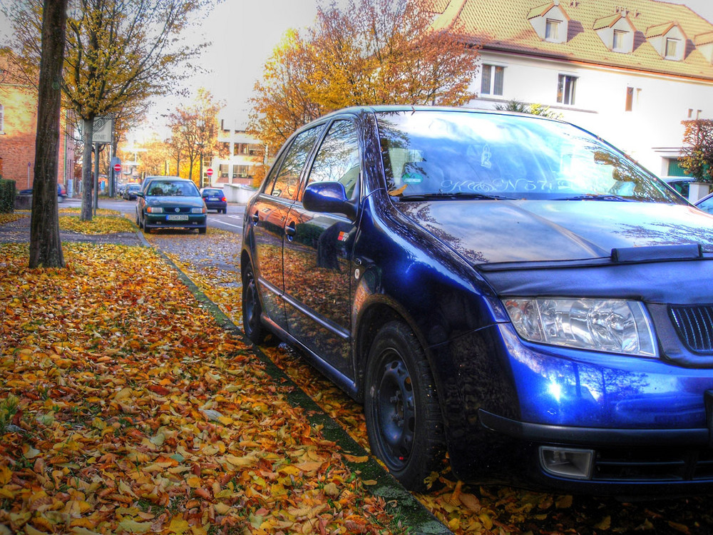 Fabia im Winterkleid