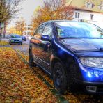 Fabia im Winterkleid