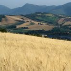 Fabriano: il grano, il paesaggio marchigiano e la cartiera