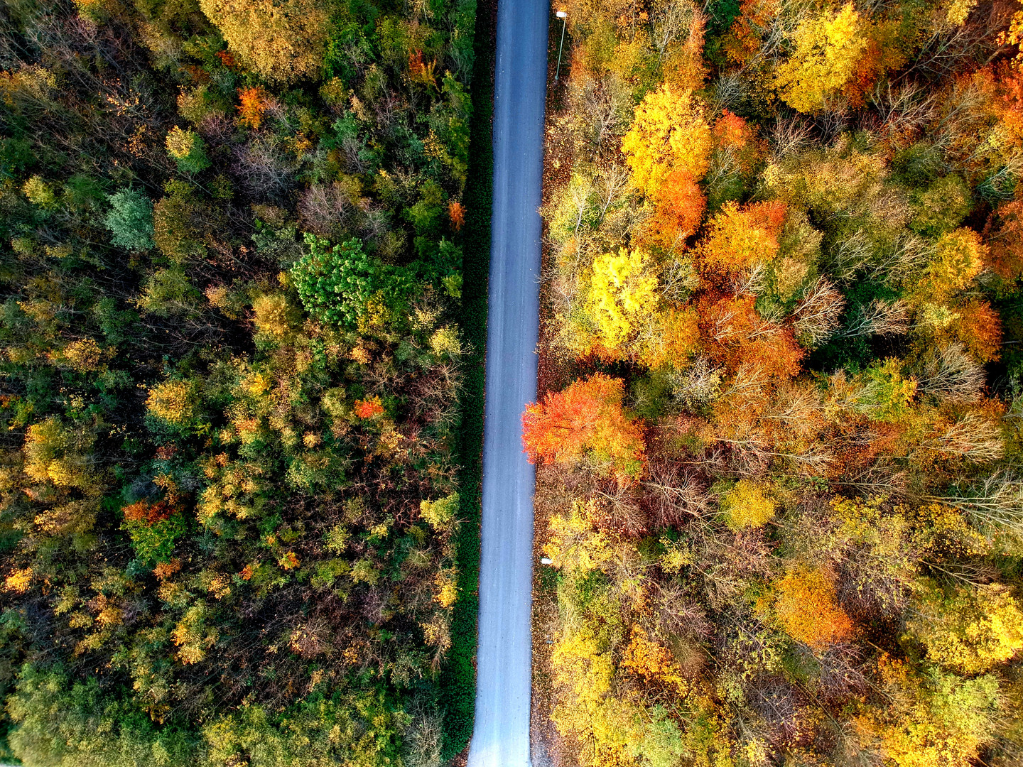 Fabrickstrasse im Herbst