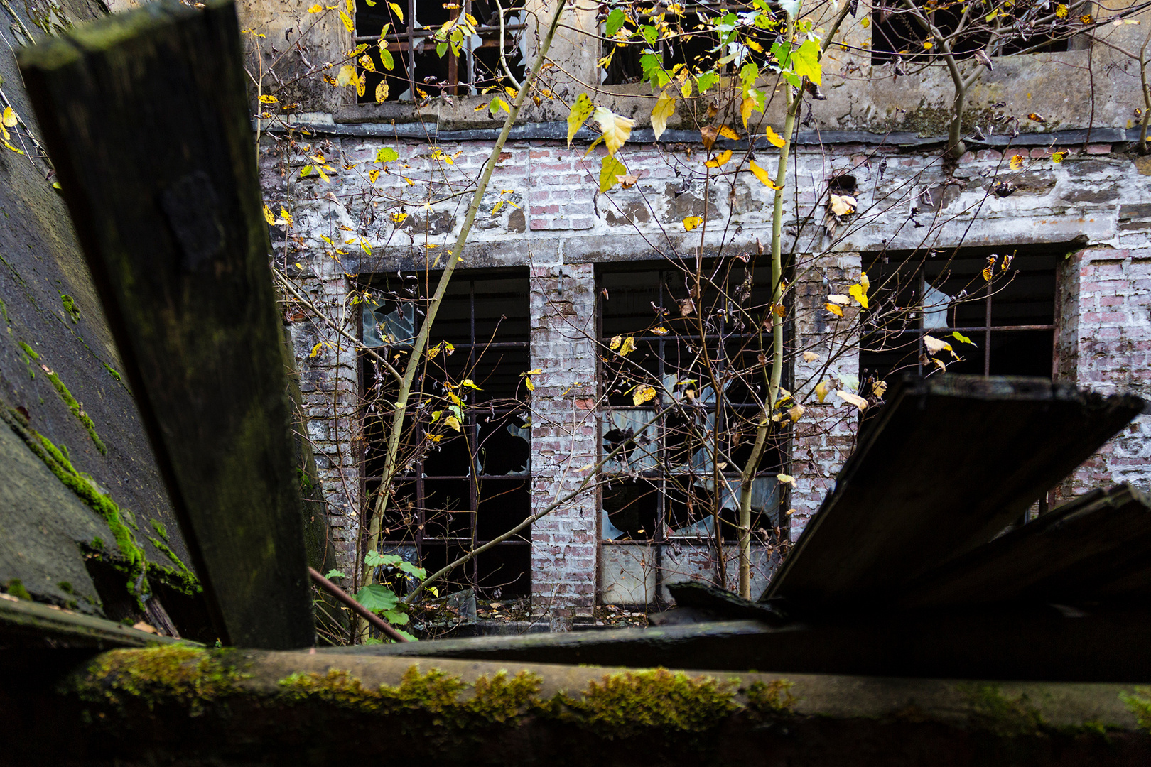 Fabrik im Grünen