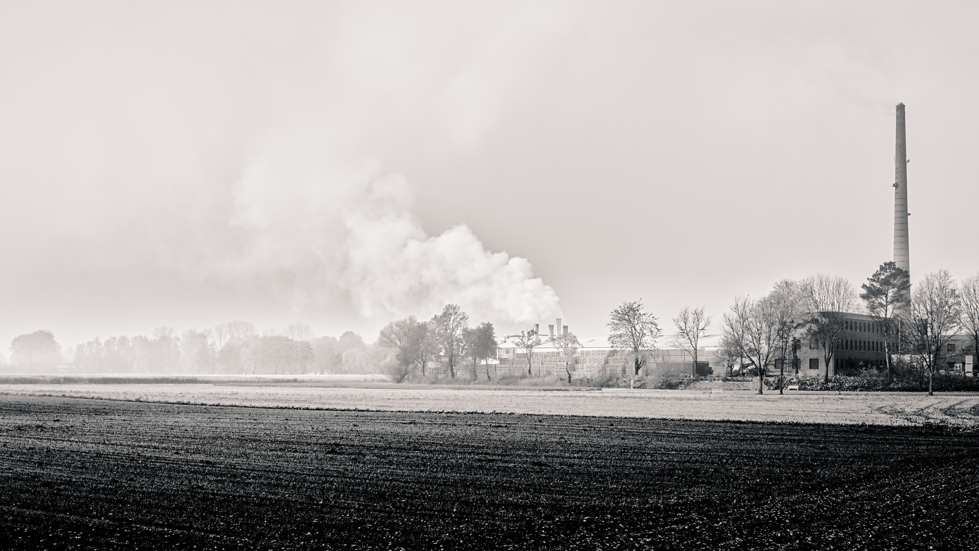 Fabrik im Nebel