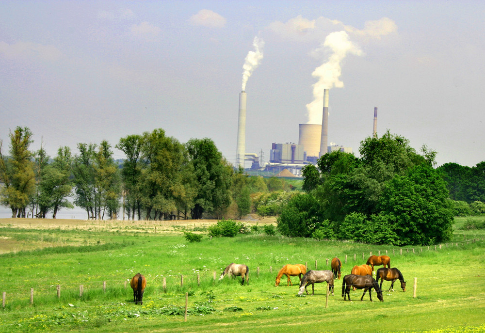 Fabrik in der Natur