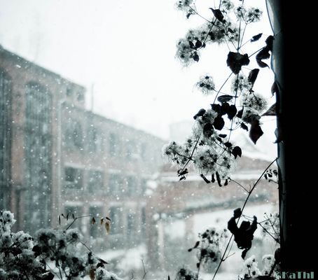 Fabrik Leipzig Gohlis III