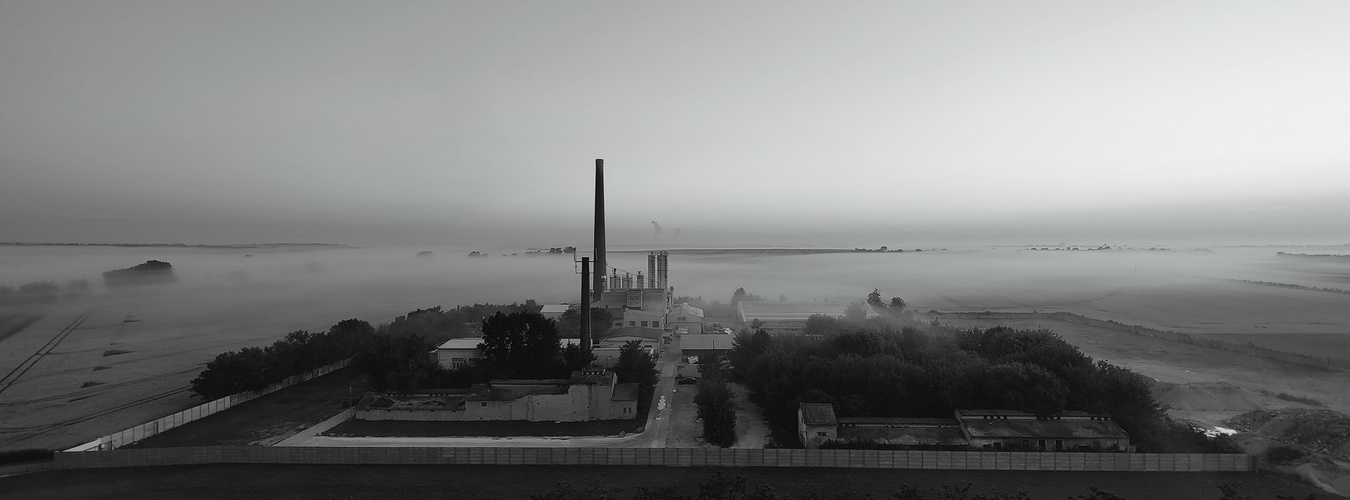 Fabrik und Nebel (s/w)