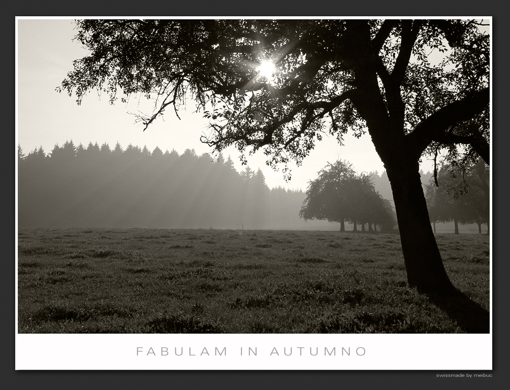 fabulam in autumno