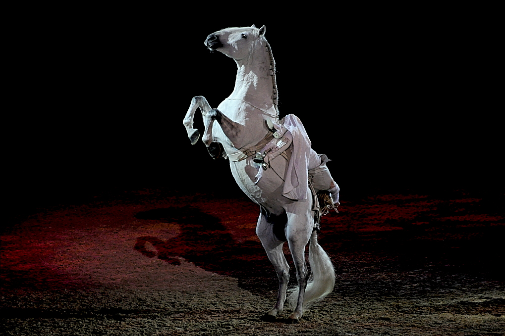 Fabuloso - Athletik von Mensch & Pferd auf der Equitana 2011