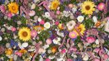 COM: Fabulous flowers de Sally Dunn 