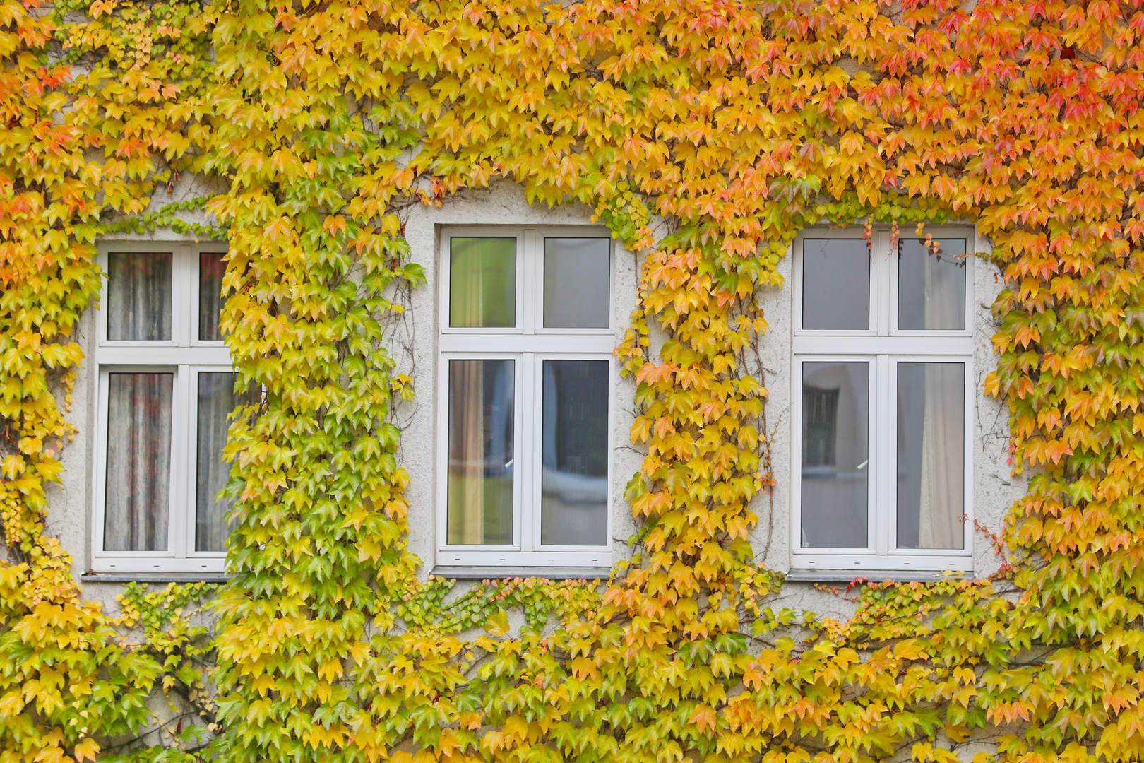 Facade with all Autumn Colors