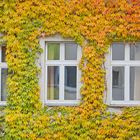 Facade with all Autumn Colors
