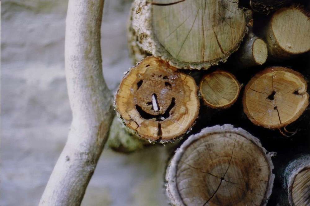 Faccia di legno