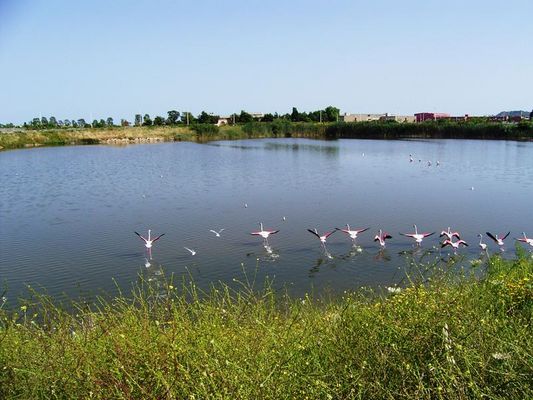 facciamo a chi arriva primo...?????