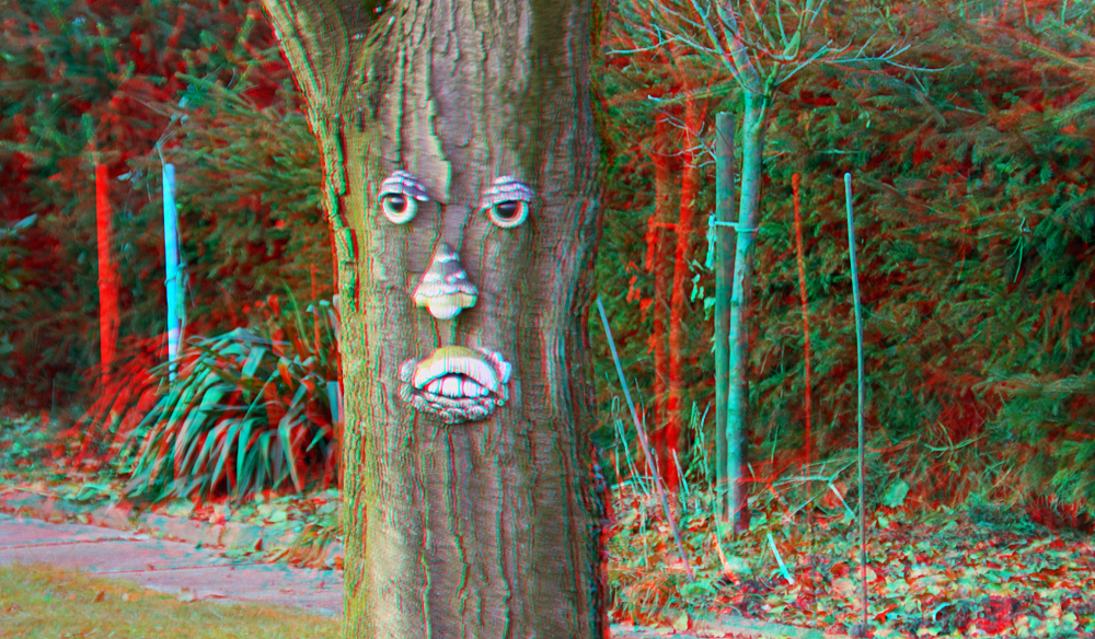 Face (3D für rot/cyan Brille) Foto &amp; Bild stereoskopische raumbilder