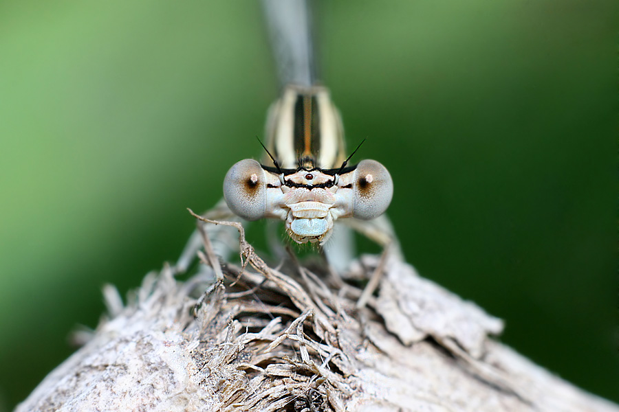 Face à face.