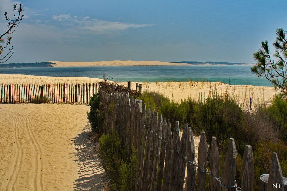 Face à la dune...