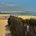 Face à la dune...