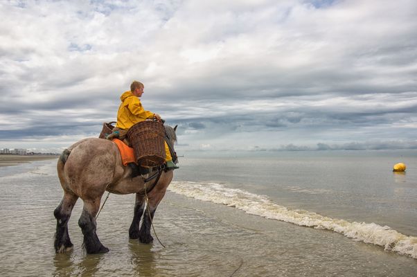 Face à la mer du Nord