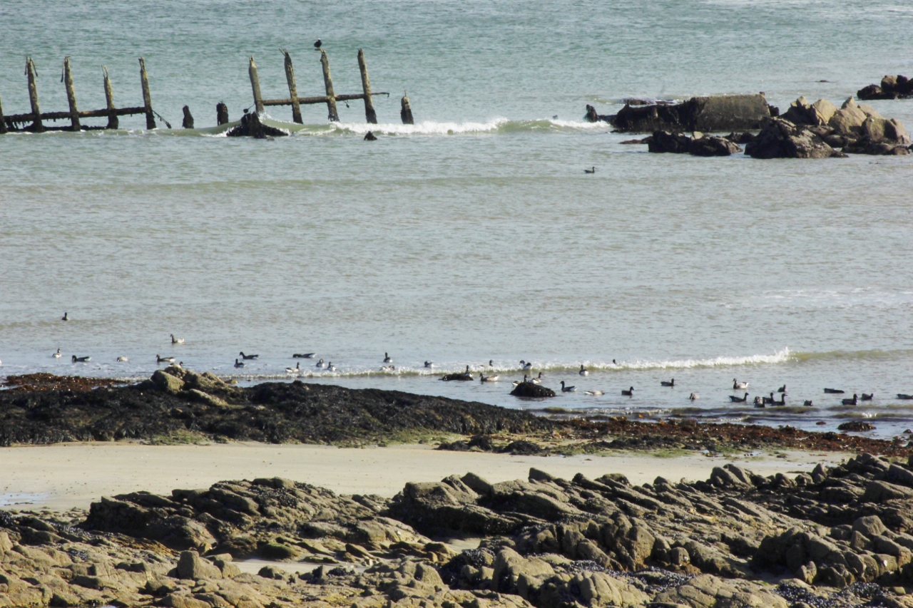 Face à l'esplanade de l'océan à Larmor-Plage (Morbihan)