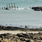 Face à l'esplanade de l'océan à Larmor-Plage (Morbihan)