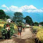 Face au "MANASLU"