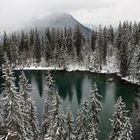 Face au Mont Blanc Lac vert