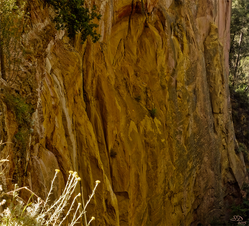 Face au sentier