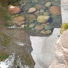 Face in the River Forret du Fango Corse