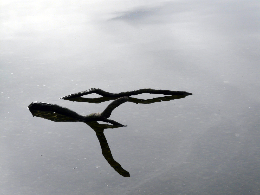 Face in the water / Gesicht im Wasser