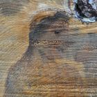 face in wood_6247