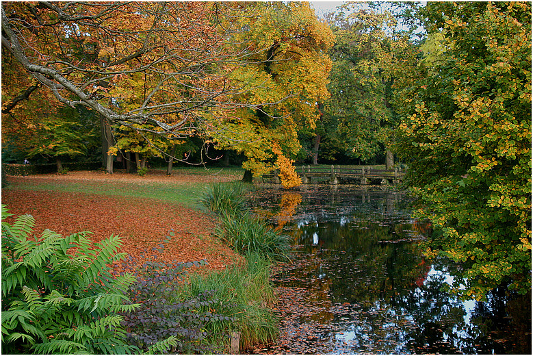 Face of Autumn