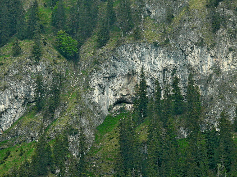 Face of the Natur