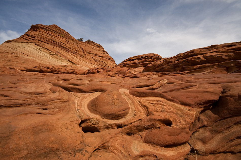 faces in stone