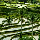 Faces of Bali -    Weltkulturerbe