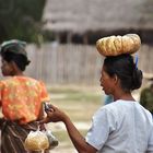 faces of burma V