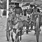 faces of burma VII