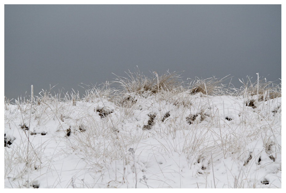 faces of fehmarn