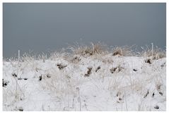 faces of fehmarn