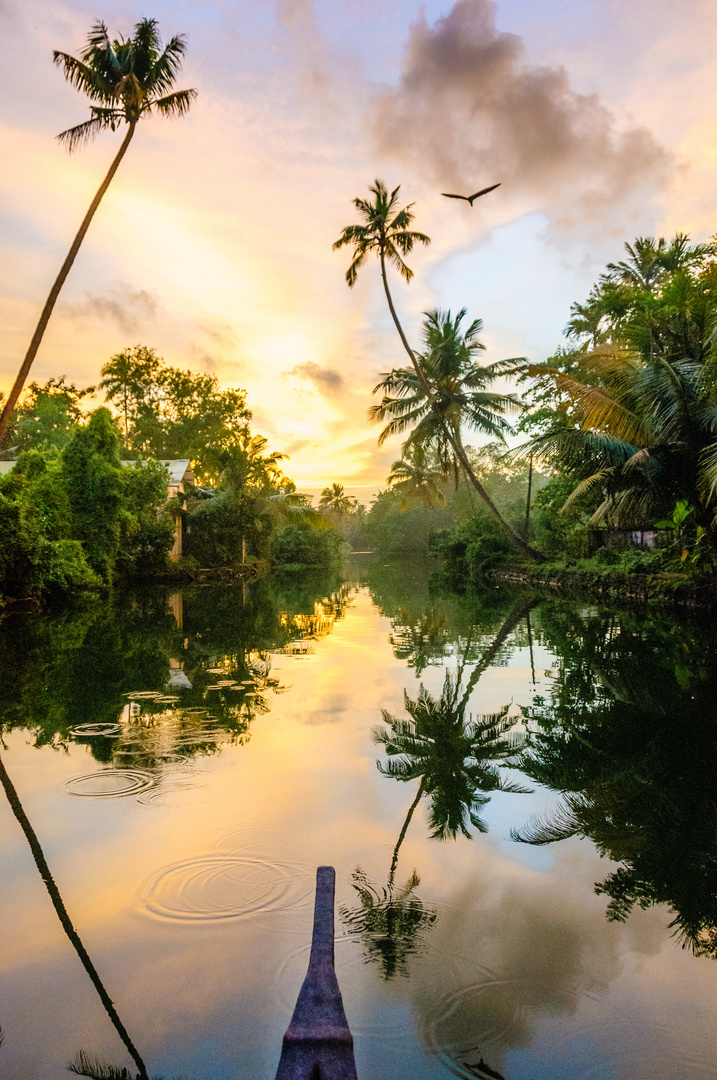 'Faces of India' - Backwaters 