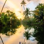 'Faces of India' - Backwaters 