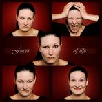 faces of life