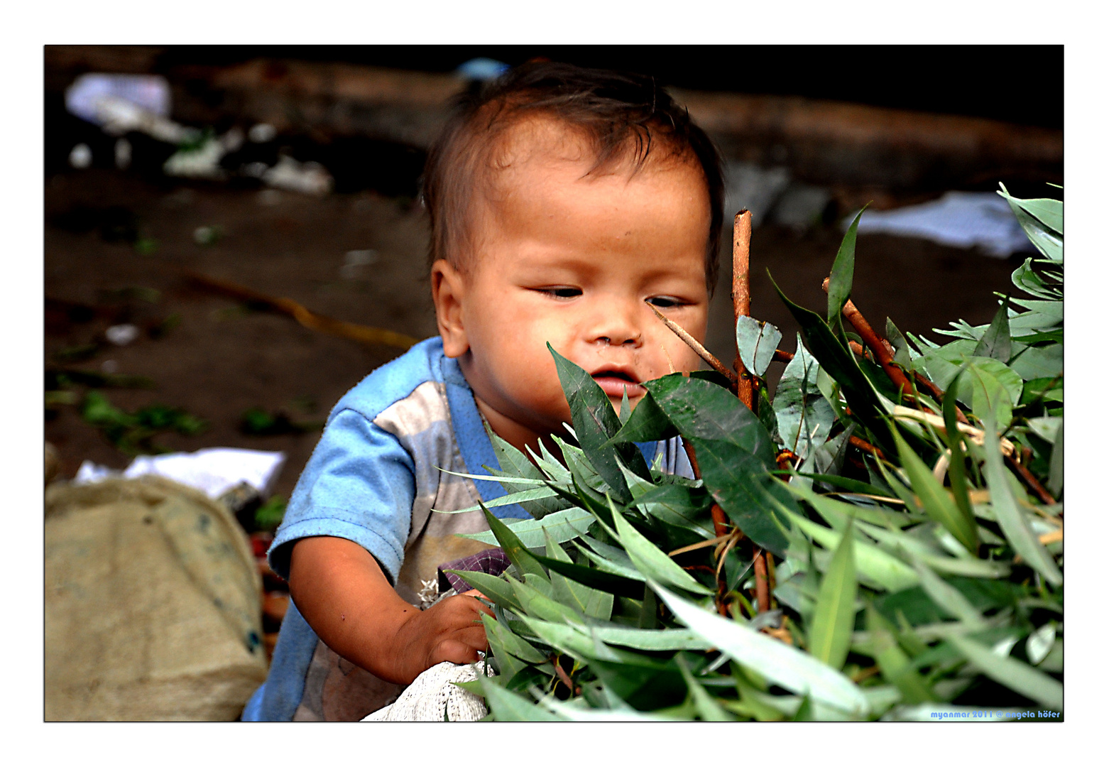 faces of myanmar X